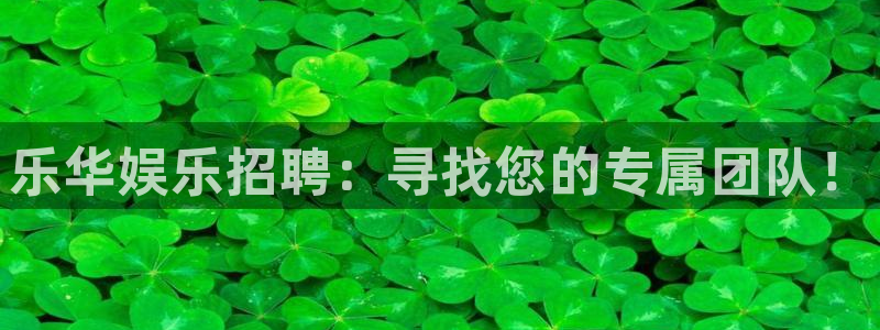 下载新宝5：乐华娱乐招聘：寻找您的专属团队！