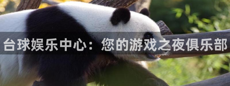新宝gg娱乐：台球娱乐中心：您的游戏之夜俱乐部