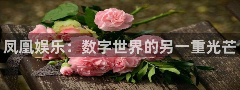 新宝5：凤凰娱乐：数字世界的另一重光芒