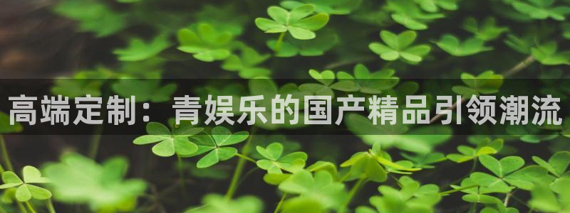 新宝gg官网：高端定制：青娱乐的国产精品引领潮流
