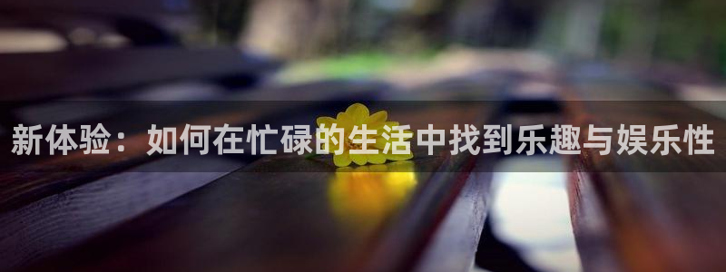 新宝gg：新体验：如何在忙碌的生活中找到乐趣与娱乐性