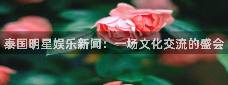 新宝gg网址：泰国明星娱乐新闻：一场文化交流的盛会