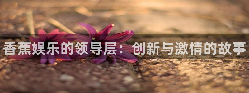 新宝gg官网：香蕉娱乐的领导层：创新与激情的故事