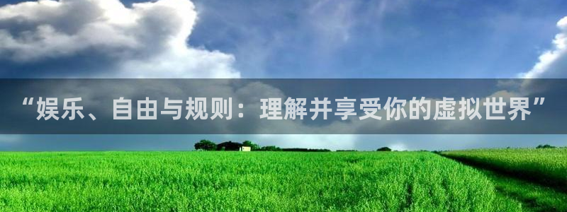 新宝5注册：“娱乐、自由与规则：理解并享受你的虚拟世界”