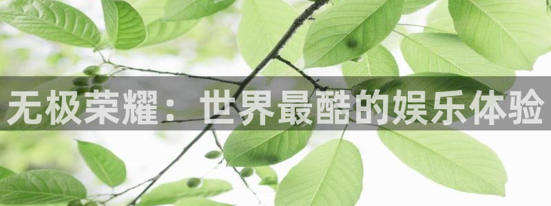 新宝gg官网登录：无极荣耀：世界最酷的娱乐体验